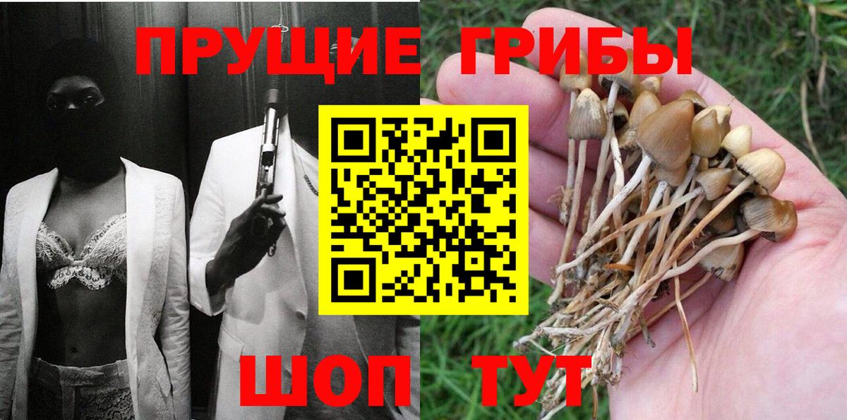 Галлюциногенные грибы Magic Shrooms Псков
